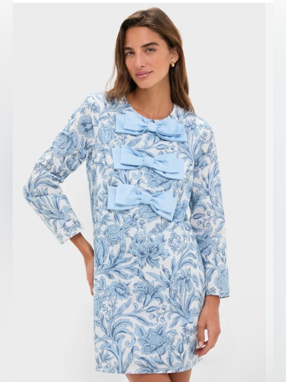 Blue Floral Long Sleeve Bow-Accent Dress